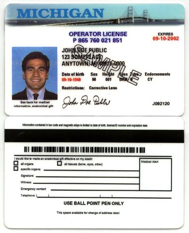 michigan driver license endorsement codes